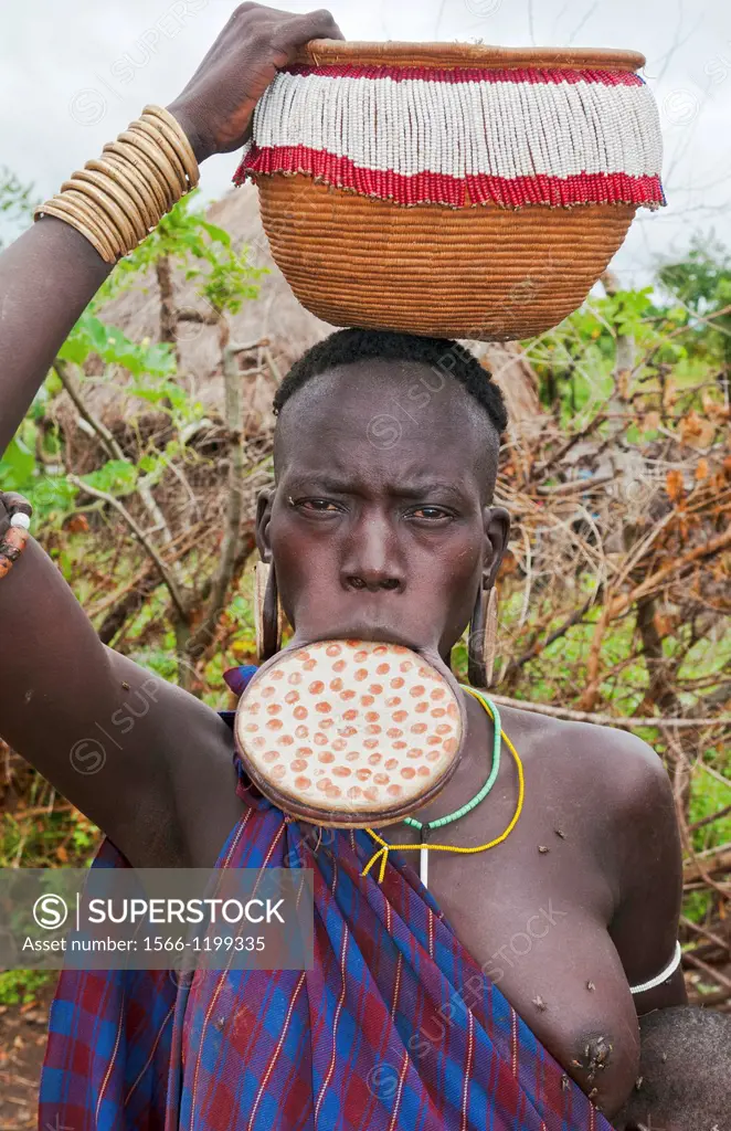 Jinka Ethiopia Africa village Lower Omo Valley Mago National Park wild tribe Mursi woman with clay pot in her lip in tribal portrait with paint on fac...