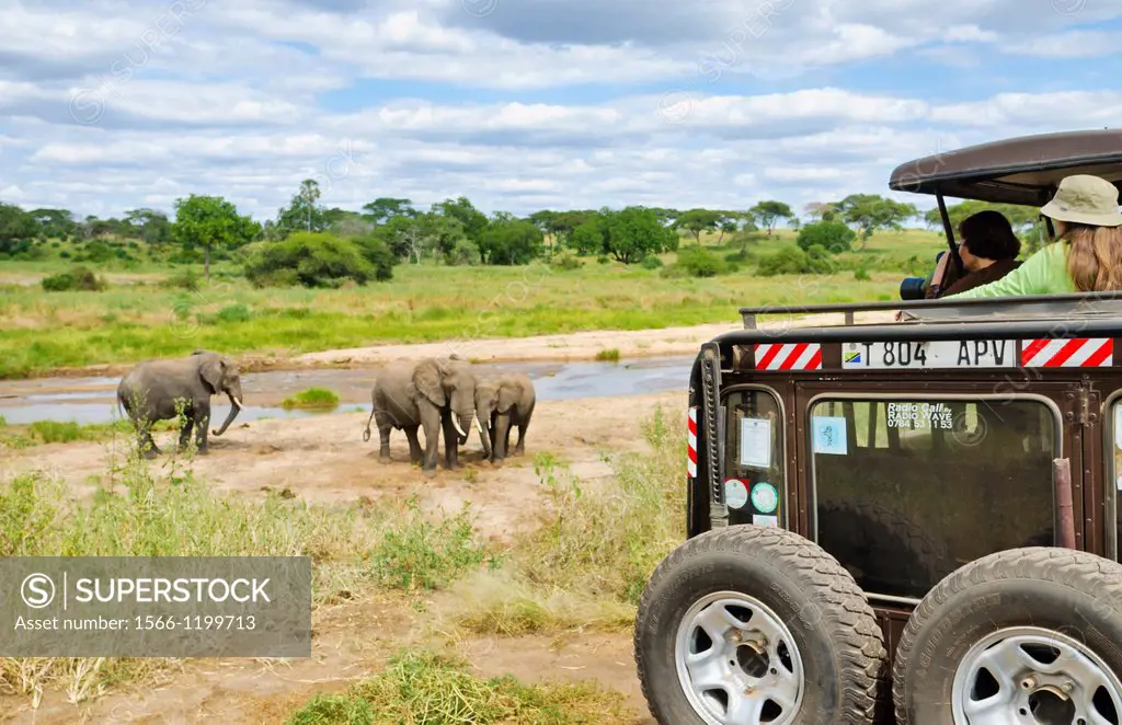 Tarangire National Park Tanzania Africa safari elephants close encounter with tourists in van vehicle by river exciting adventure close up