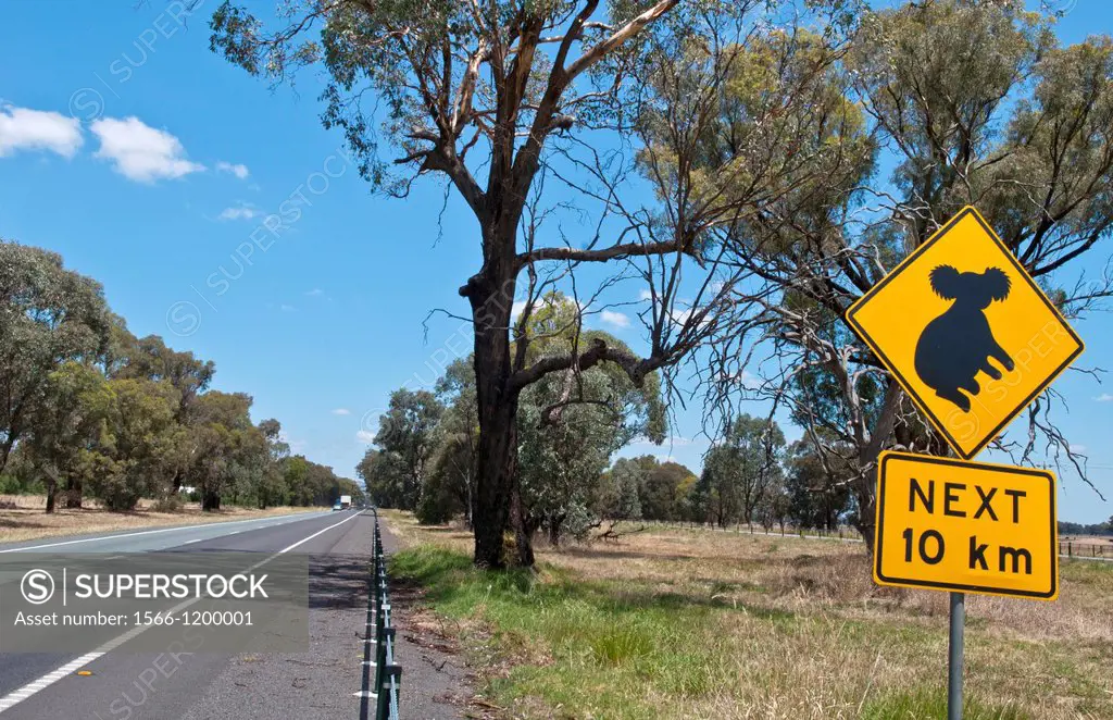 Watch sign for Koala Bear on drive in Hume Freeway above Melbourne Freeway in New South Wales Australia