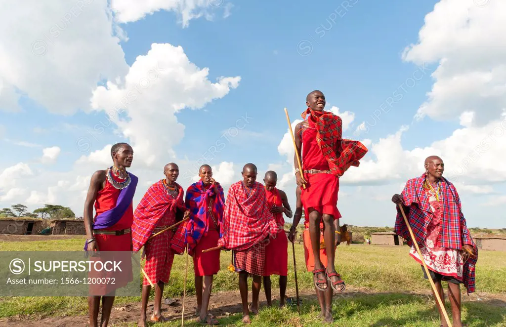 Kenya Masai Mara Masai warriors doing traditional jumping for tourists in Masai Mara National Park in reserve 9