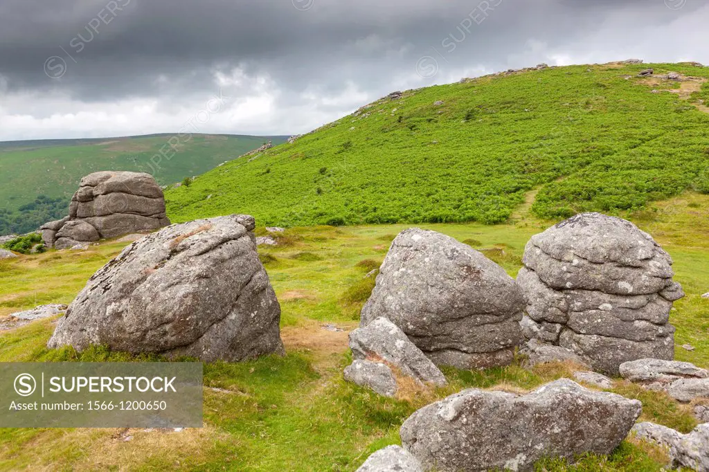 View towards Chinkwell Tor in the Dartmoor National Park, near Widecombe in the Moor, Devon, England, UK, Europe