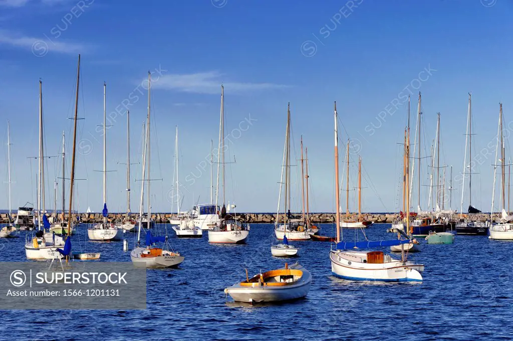 Sailboats in Vineyard Haven harbor, Martha´s Vineyard, Massachusetts, USA
