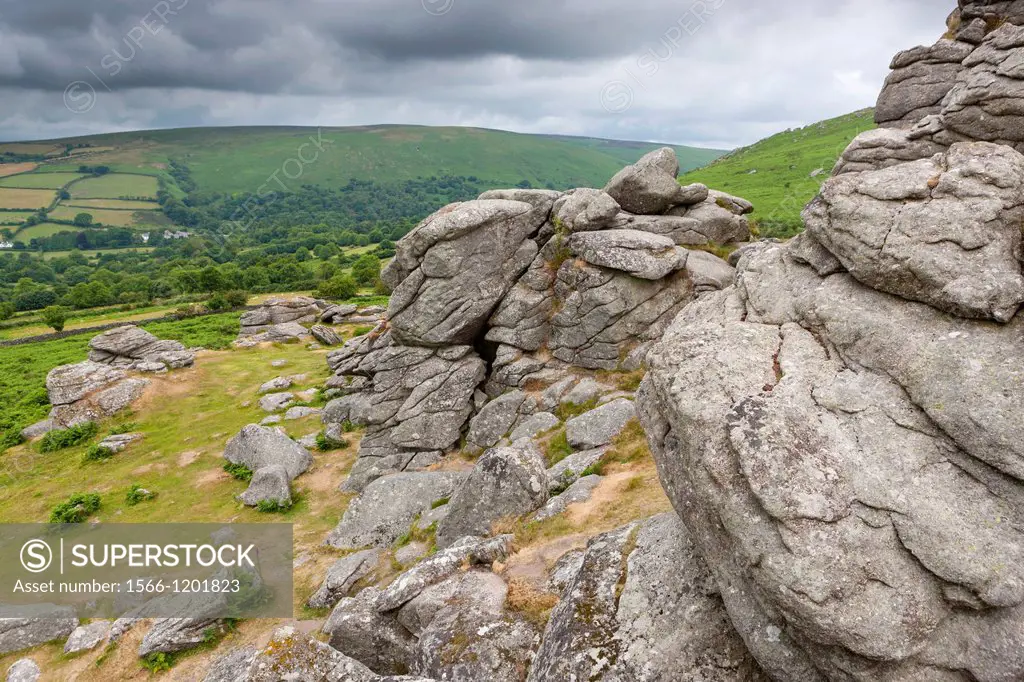 Bonehill Rocks in the Dartmoor National Park, near Widecombe in the Moor, Devon, England, UK, Europe