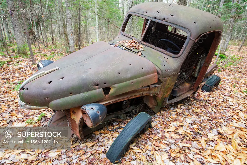 Abandoned 1940s rusted International Harvester pickup with bullet holes in forest near Elbow Pond in Woodstock, New Hampshire USA