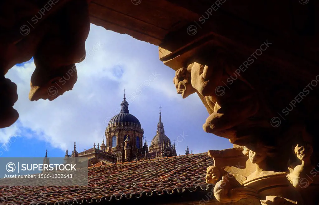 Cathedral from Cloister of Santa María de las Dueñas convent,Salamanca,Spain