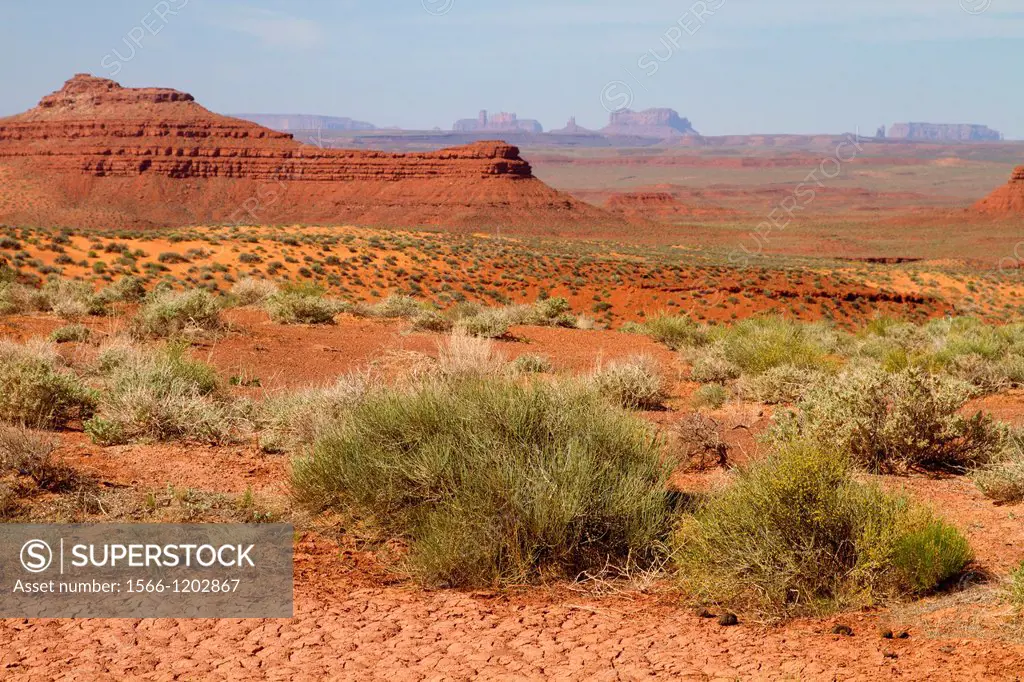 Valley of the Gods, near to Monument Valley, Utah, USA