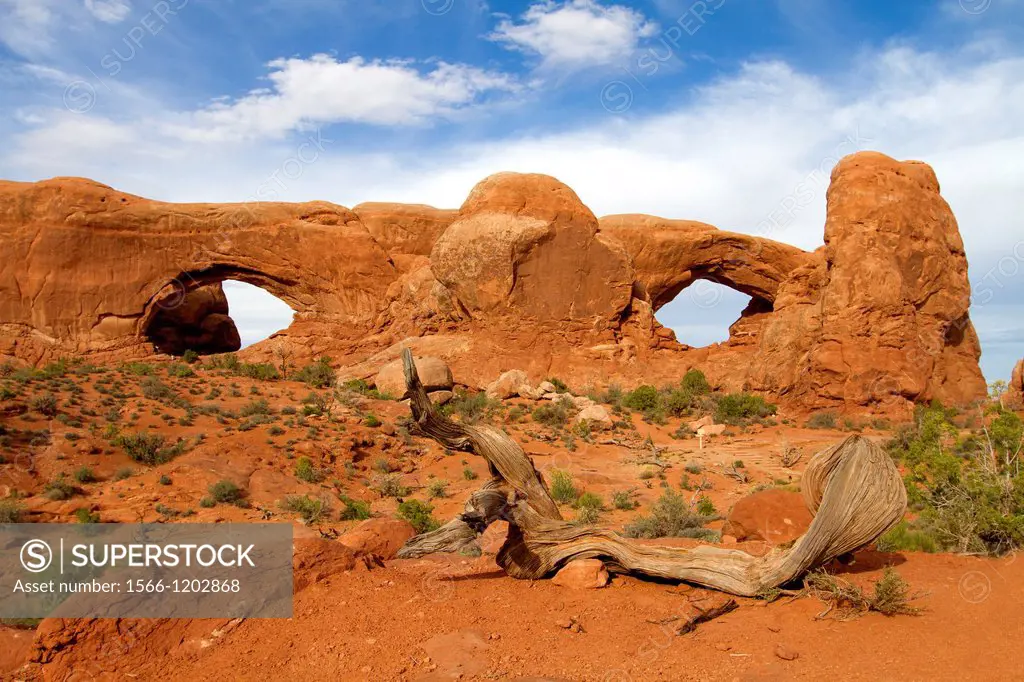 North Window and South Window  Water and ice, extreme temperatures, and underground salt movement are responsible for the scultured rock scenery of Ar...
