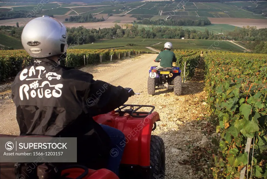 driving an ATV in the Champagne vineyard of the Cote des Bars, Aube department, Champagne-Ardenne region, France, Europe