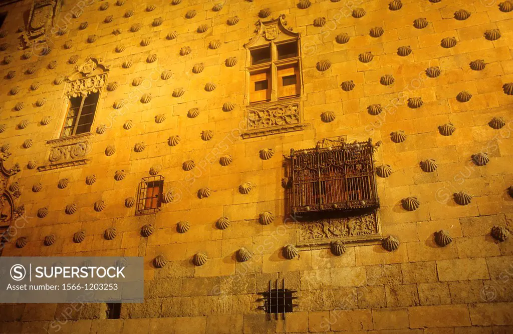 Detail,Casa de las Conchas, House of Shells,Salamanca,Spain
