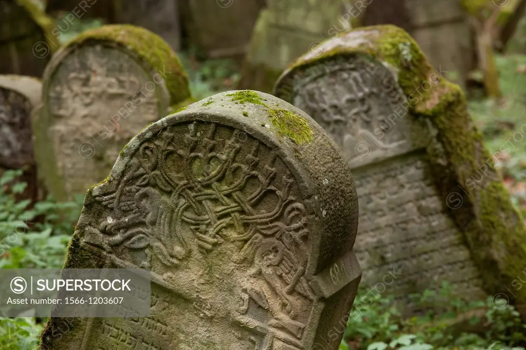 The Jewish cemetery in Lesko  Poland