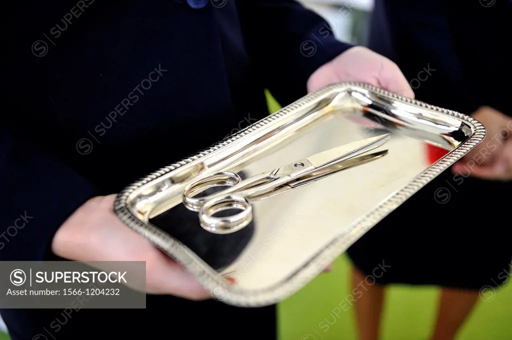 Hands holding a silver tray with scissors