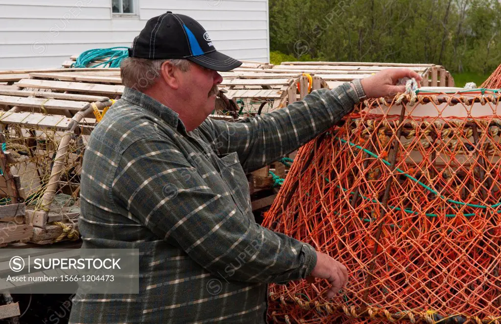 Newfoundland Canada Port de Graves harbor working fisherman with crab pots