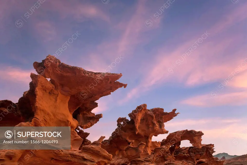 Sunset at Devils Fire, Strange eroded sandstone rock formations in the desert south west, Nevada, USA