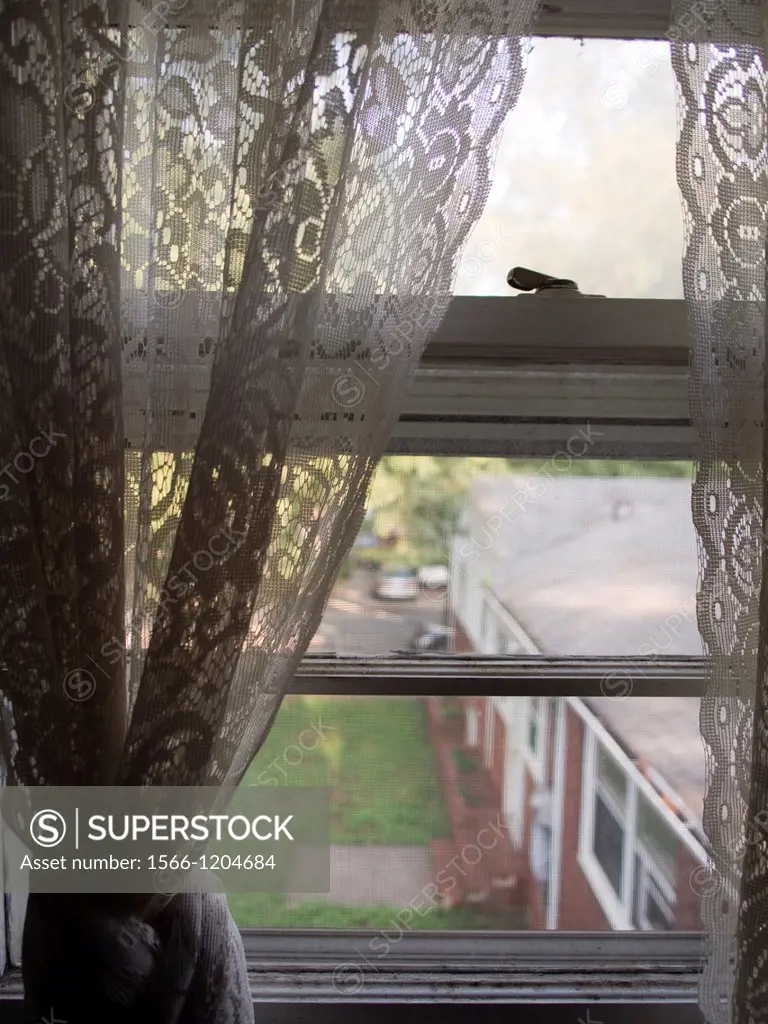 View through curtains to outside the window of a foreclosed home in Lexington, North Carolina, United States