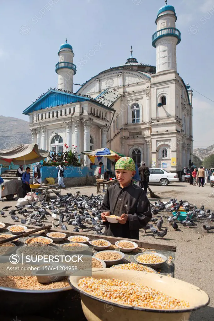 Afghan boy feeding pigeons at a mosque in kabul, Afghanistan