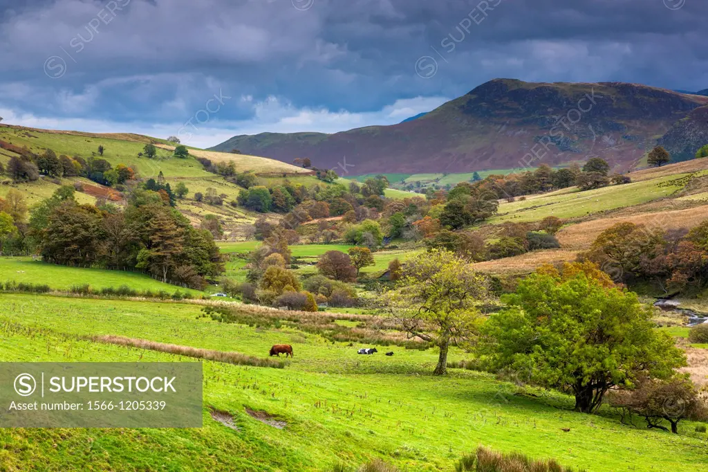 Keskadale and Derwent Fells near Keswick, Lake District National Park, Cumbria, England, UK, Europe
