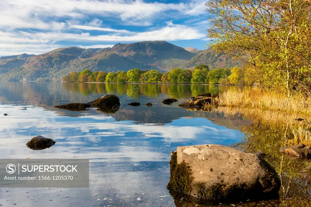 Autumn trees at Ullswater in the Lake District National Park, Cumbria, England, UK, Europe