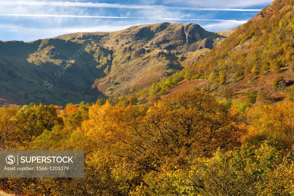 View towards High Hartsop Dodd in the Lake District National Park, Cumbria, England, UK, Europe