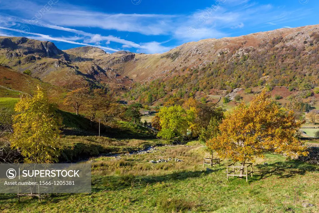 Autumn landscape, Dovedale valley in the Lake District National Park, Cumbria, England, UK, Europe