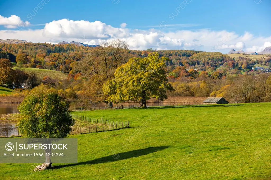 Autumn landscape on the Esthwaite Water shore in the Lake District National Park, Cumbria, England, UK, Europe