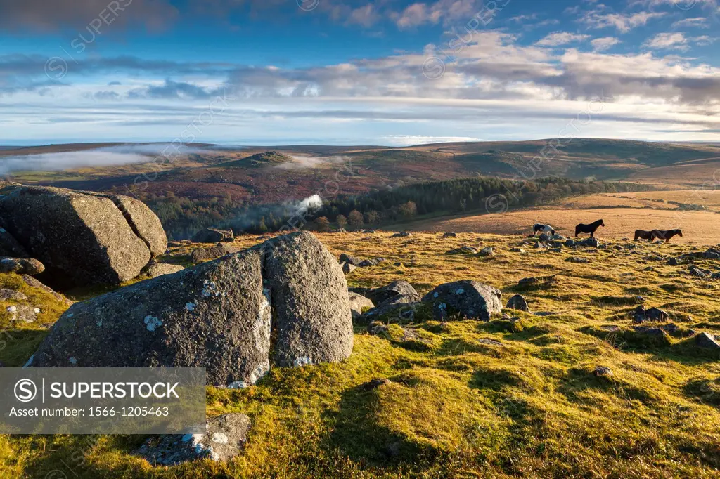 Sheeps Tor in the Dartmoor National Park, Devon, England, UK, Europe