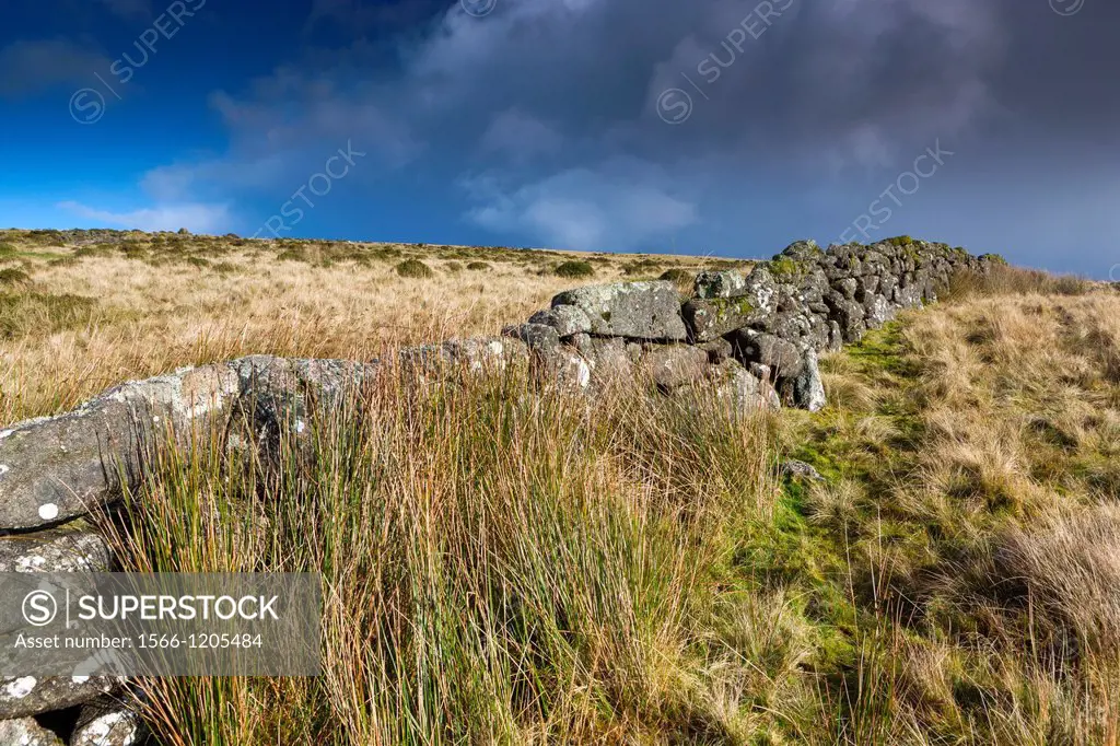 Stone wall in valley of the West Dart River near Two Bridges in the Dartmoor National Park, Devon, England, UK, Europe
