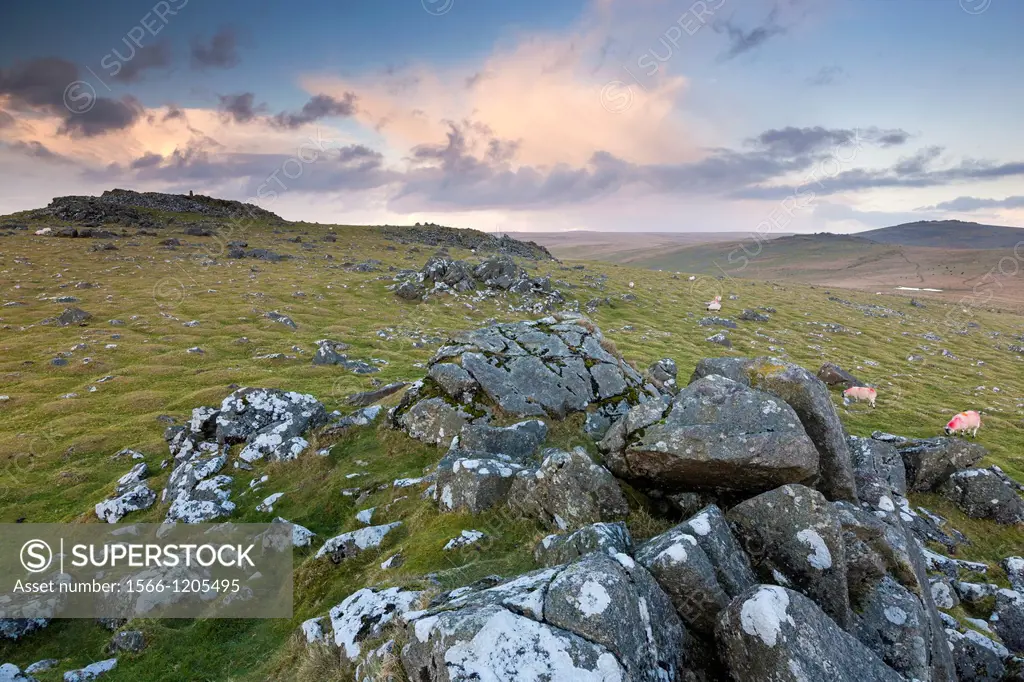 View from Cox Tor in the Dartmoor National Park, Devon, England, UK, Europe