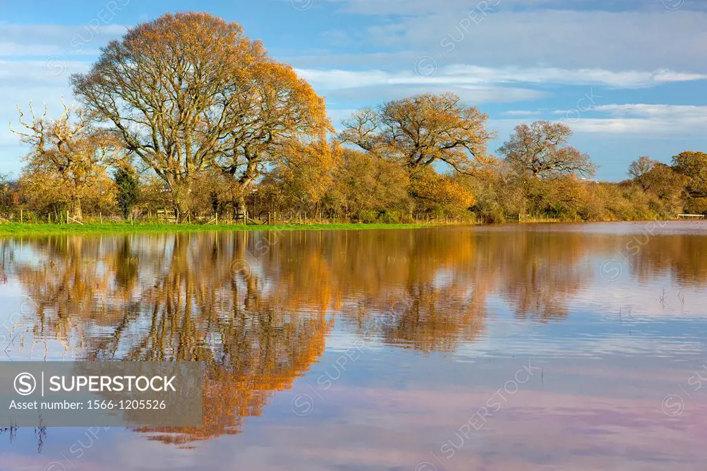 Flooded meadows by the River Exe in the Exe Valley after heavy rain in Devon