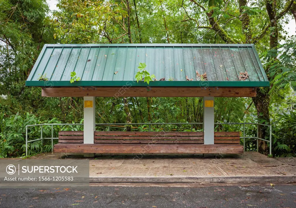 Bus stop bench in the rainforest of El Yunque National Forest, Puerto Rico