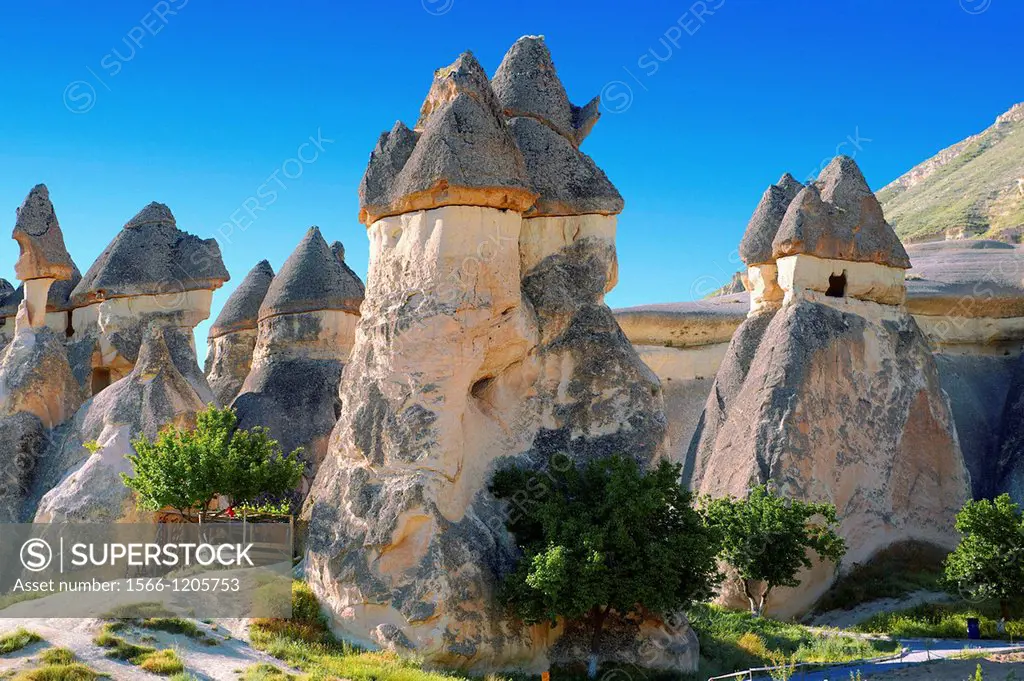 Fairy Chimneys near Zelve, Cappadocia Turkey