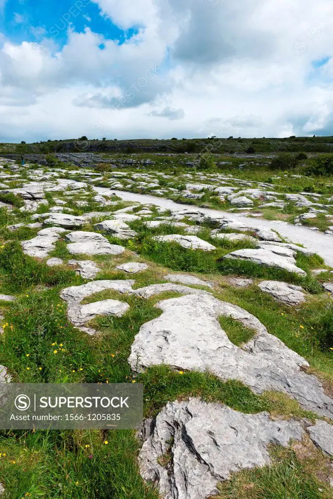 The Burren, Co  Claire, Ireland  Limestone pavements crisscrossing cracks or ´grikes´, leaving isolated rocks called ´clints´