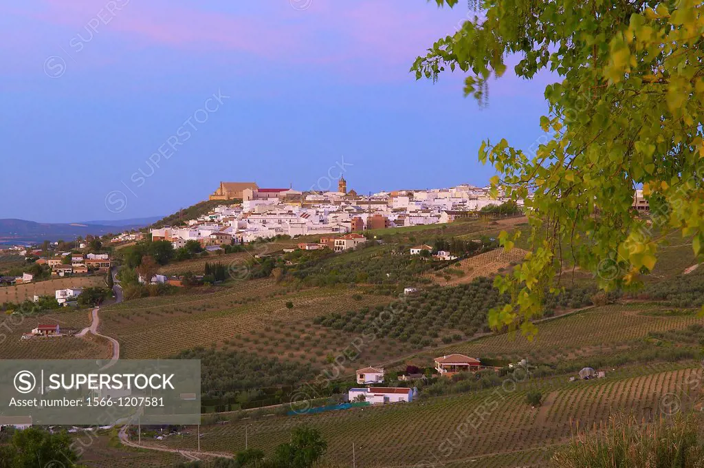 Montilla, Cordoba province, Montilla-Moriles area, , Andalusia, Spain