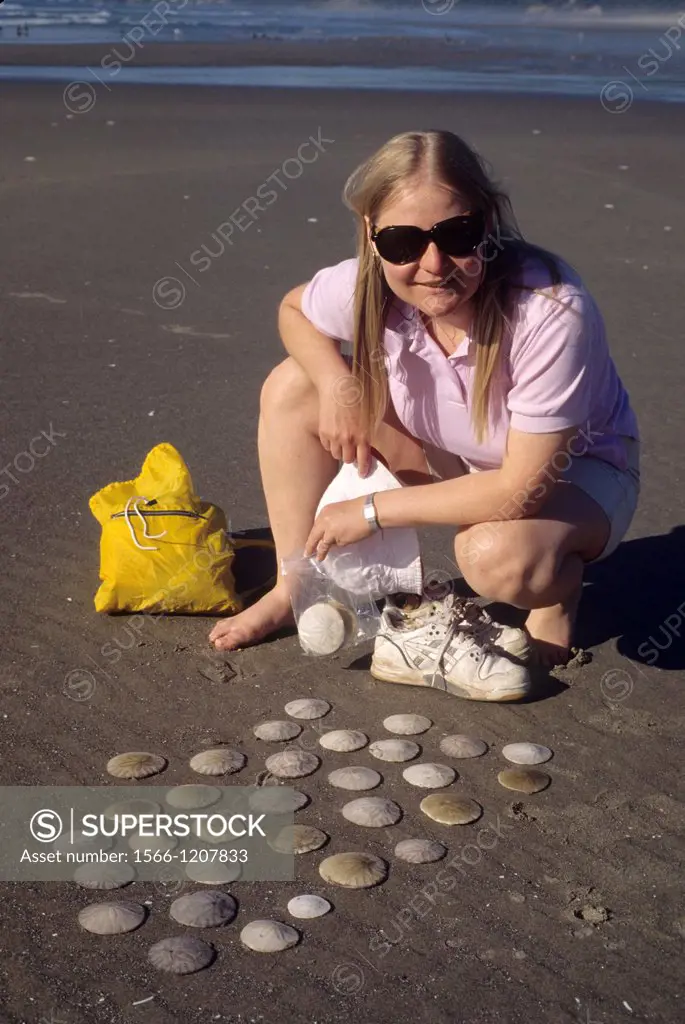 Netarts Spit beach sand dollars, Cape Lookout State Park, Oregon