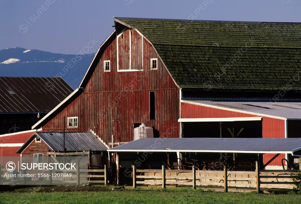 Skagit Flats barn, Skagit County, Washington