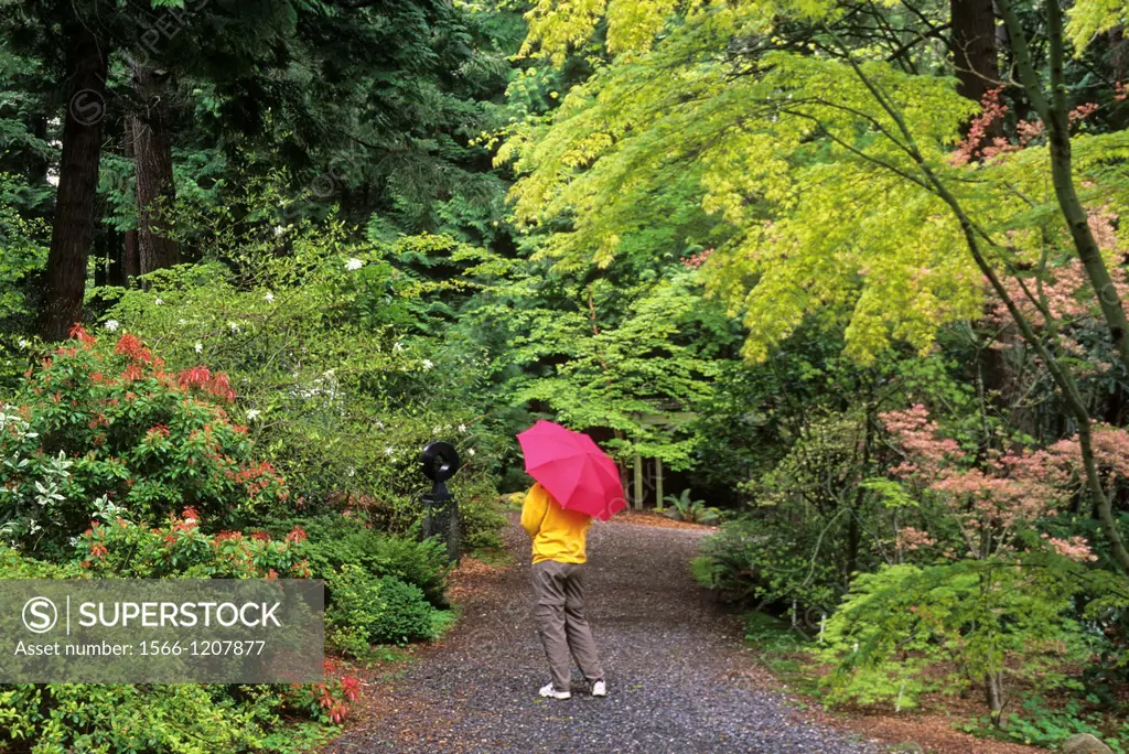 Garden path, Big Rock Garden Park, Bellingham, Washington