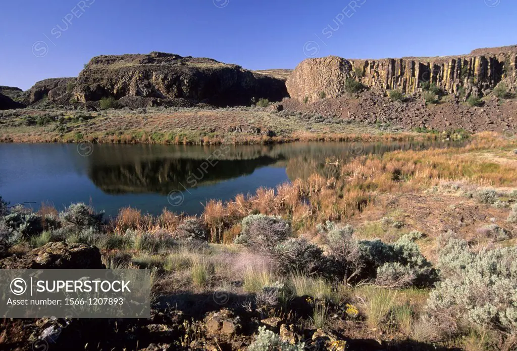 Pond below basalt cliffs, Quincy Wildlife Area, Washington