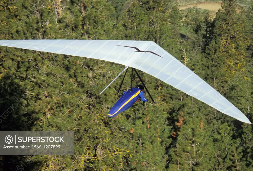 Hang glider, Chelan Butte Wildlife Area, Washington