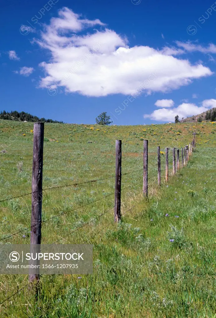Ranch fence on North Star Rd, Okanogan County, Washington