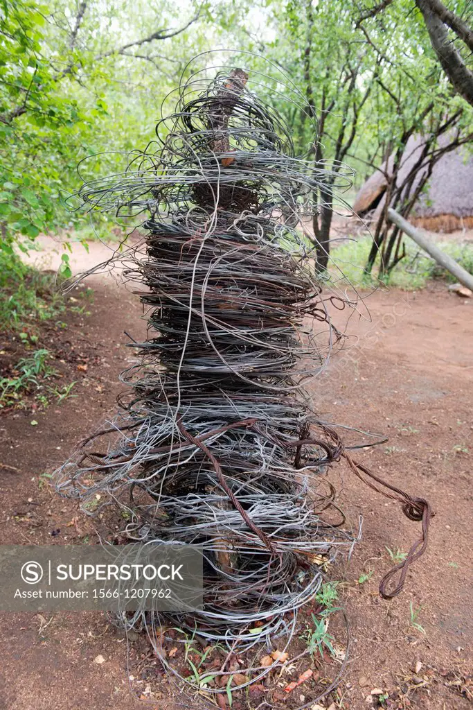 Wire snares collected from the South African bush veldt and inside game reserves  These snares will indiscriminately catch animals from Antelope, gira...