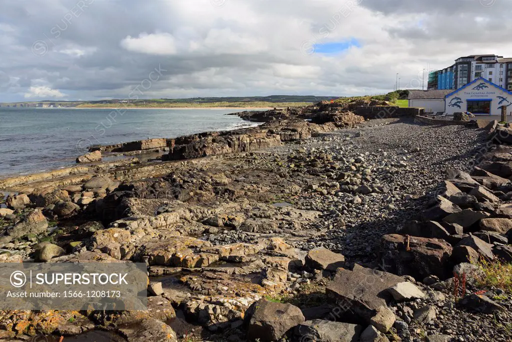 Portrush, County Antrim, Northern Ireland, UK, Europe  The Coastal Zone centre and rocky shore of the marine National Nature Reserve with unusual rock...
