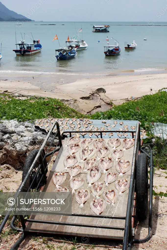 Traditional fishing net, stockfish, Andaman Sea, Langkawi, Kedah, Malaysia.