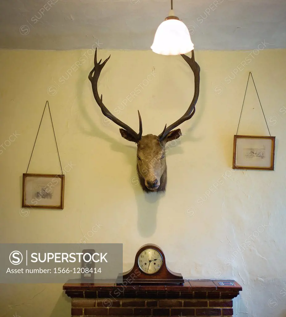 Room decorated with head of deer, pictures and clock on the chimney, rural environment.