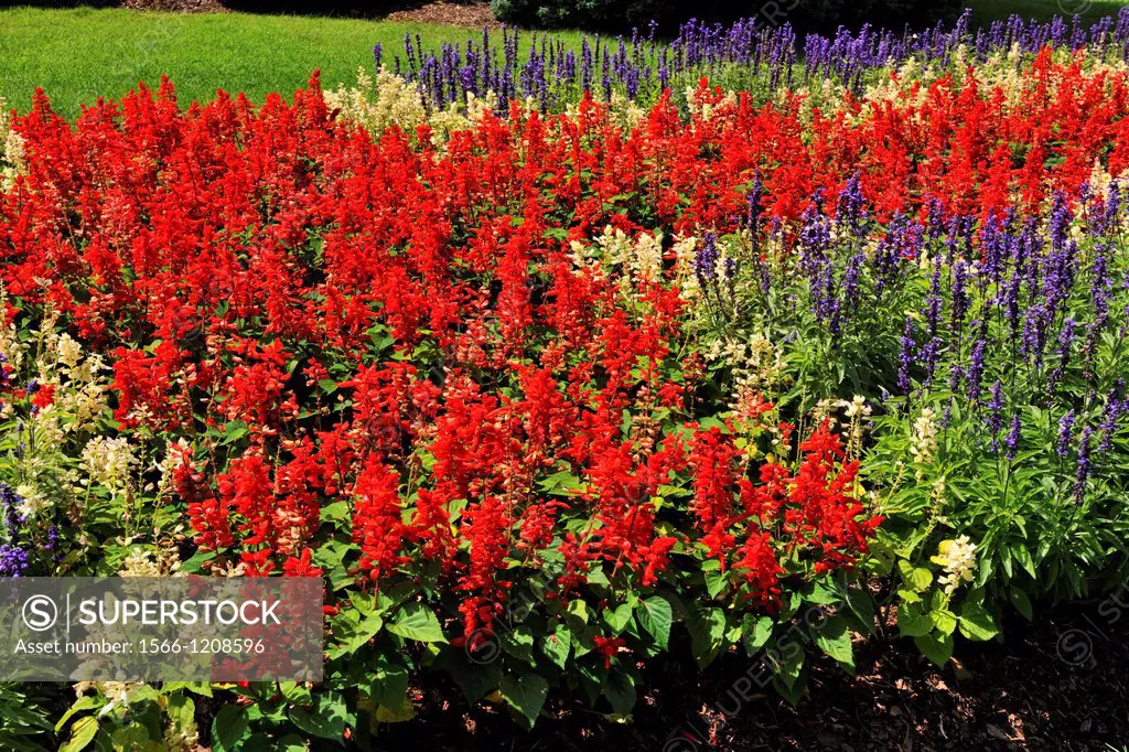 Flower beds in the Niagara Botanical Garden- Rose Garden area, Niagara Falls, Ontario, Canada