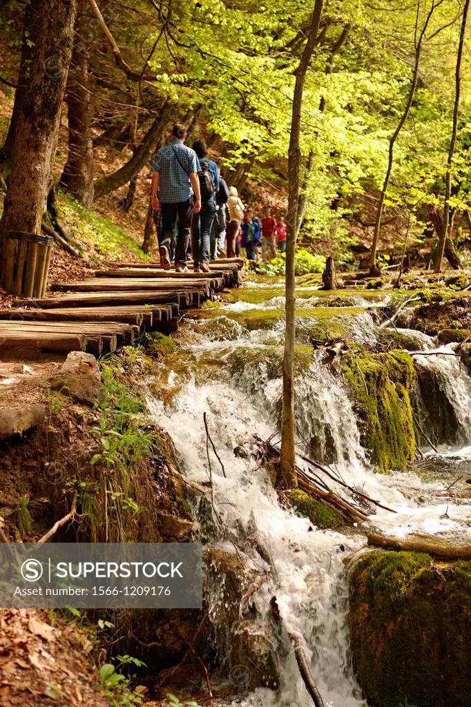 Tourists and walkers by a cascade  Plitvice  Plitvi ka  Lakes National Park, Croatia  A UNESCO World Heritage Site