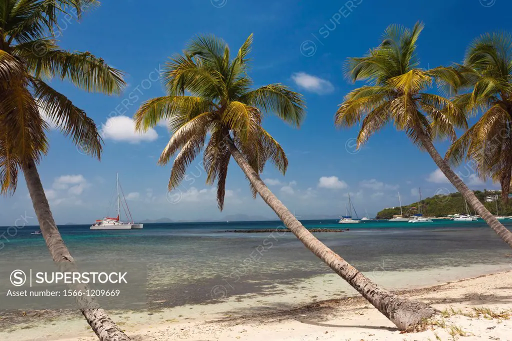 St  Vincent and the Grenadines, Mustique, Britannia Bay