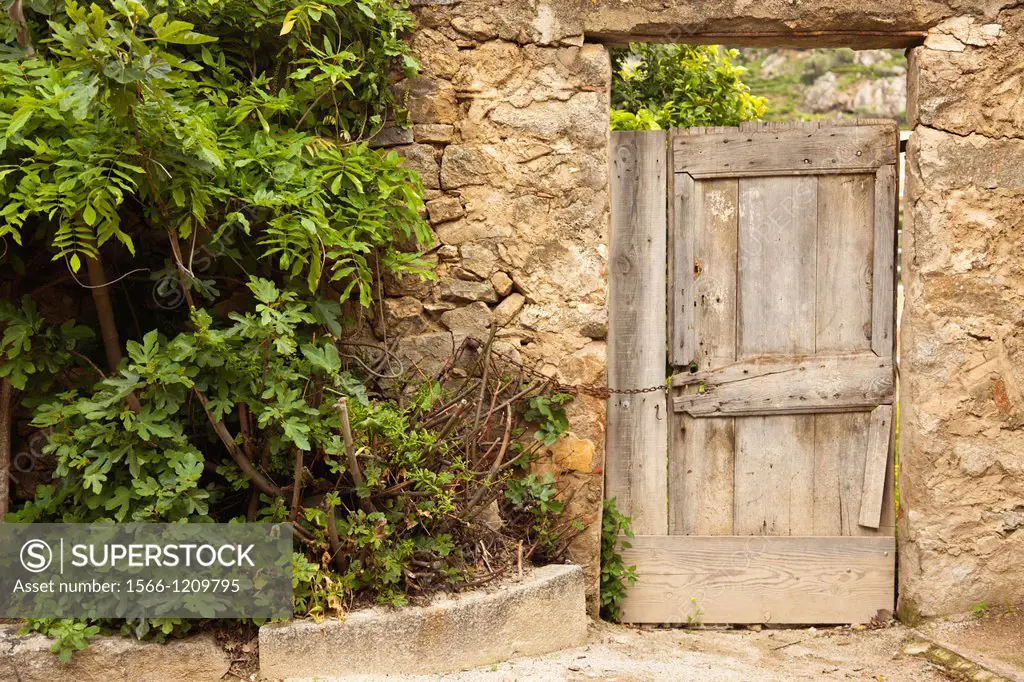 France, Corsica, Haute-Corse Department, La Balagne Region, Pigna, artisanal village, door detail