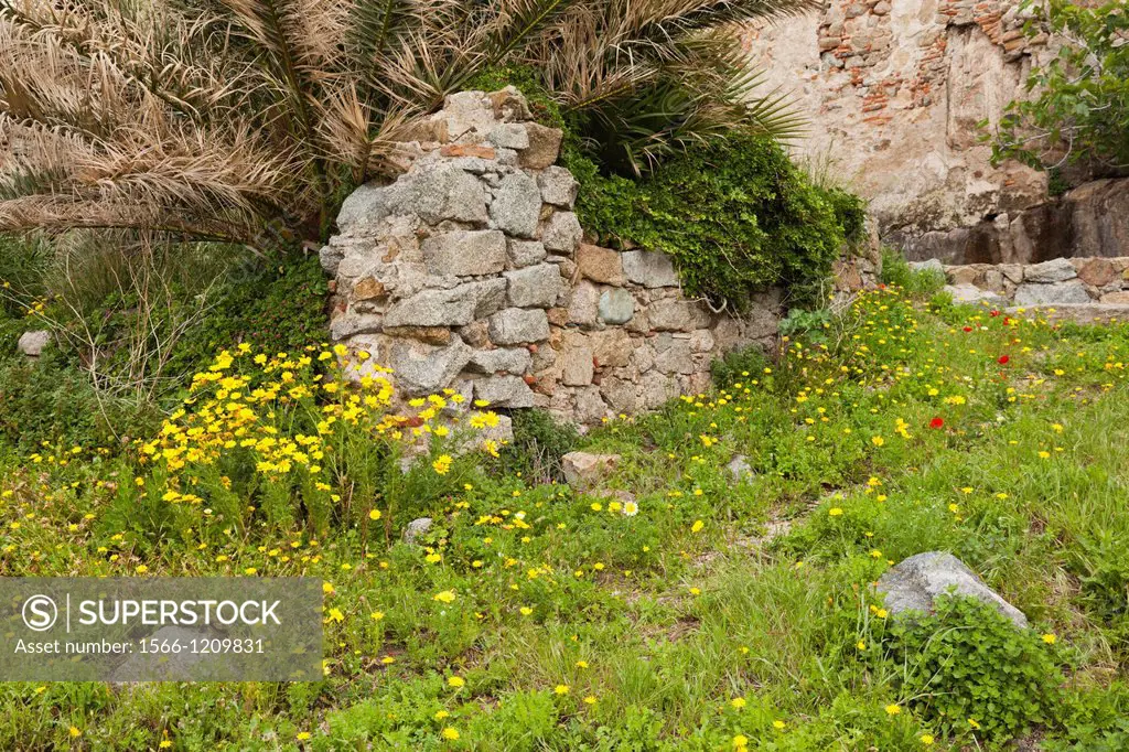 France, Corsica, Haute-Corse Department, La Balagne Region, Calvi, Citadel, ruins of the house-birthplace of Christopher Columbus