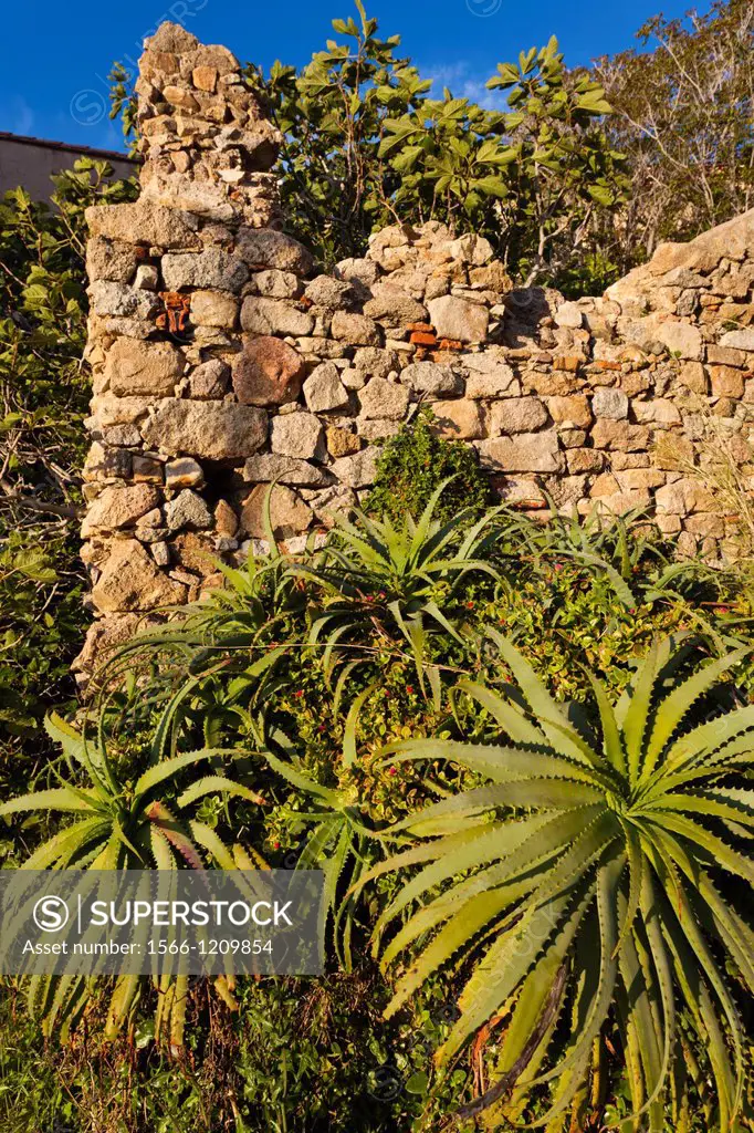 France, Corsica, Haute-Corse Department, La Balagne Region, Calvi, Citadel, ruins of the house-birthplace of Christopher Columbus, late afternoon
