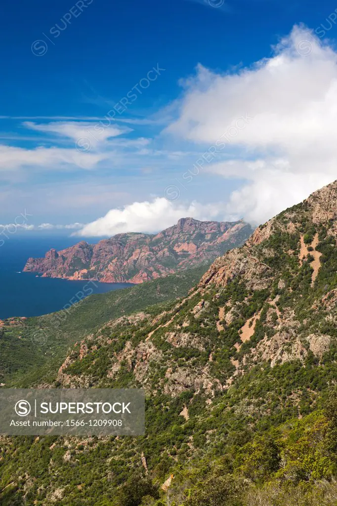 France, Corsica, Corse-du-Sud Department, Corsica West Coast Region, Golfe de Girolata gulf, elevated view