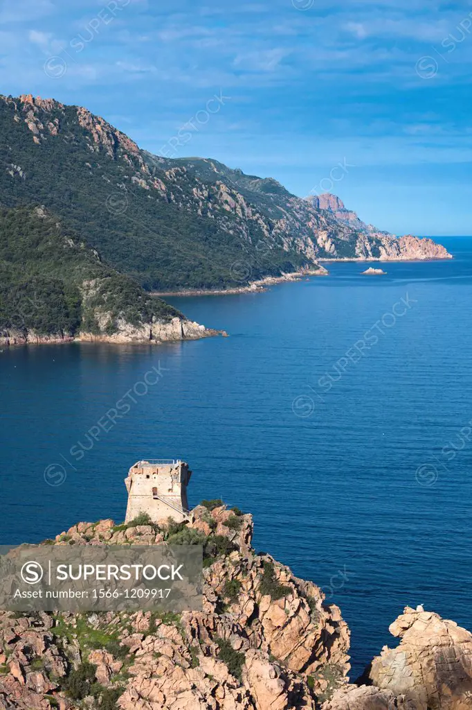 France, Corsica, Corse-du-Sud Department, Calanche Region, Porto, elevated view of the Genoese tower, morning